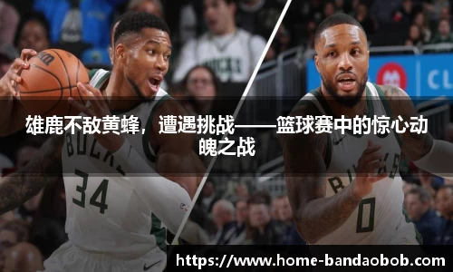 BOB半岛体育