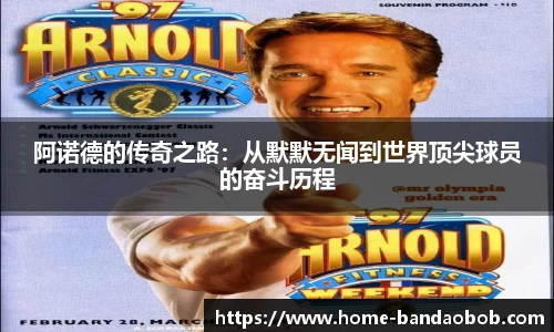 BOB半岛体育